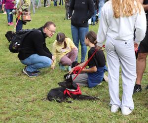 IX Piknik Przyjaciół Schroniska w Toruniu