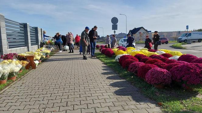 Zamościanie przygotowują się na dzień Wszystkich Świętych