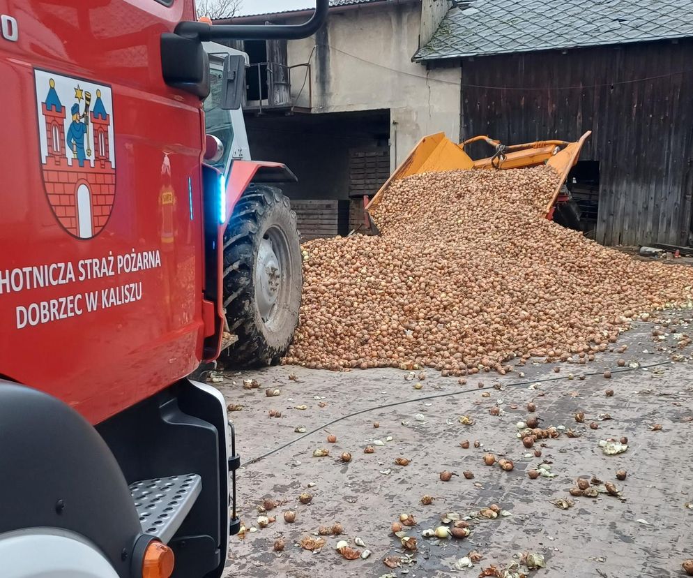 Był przyciśnięty od pasa w dół do ściany