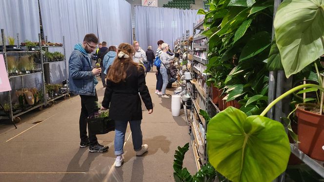 Bydgoszcz rozkwitła zielenią w "Łuczniczce". Tak było na Festiwalu Roślin
