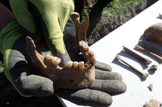 Ludzkie szczątki przy wydziale UAM