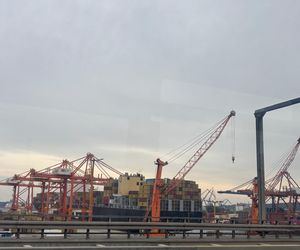 Park Leśny na Oksywiu, Gdynia