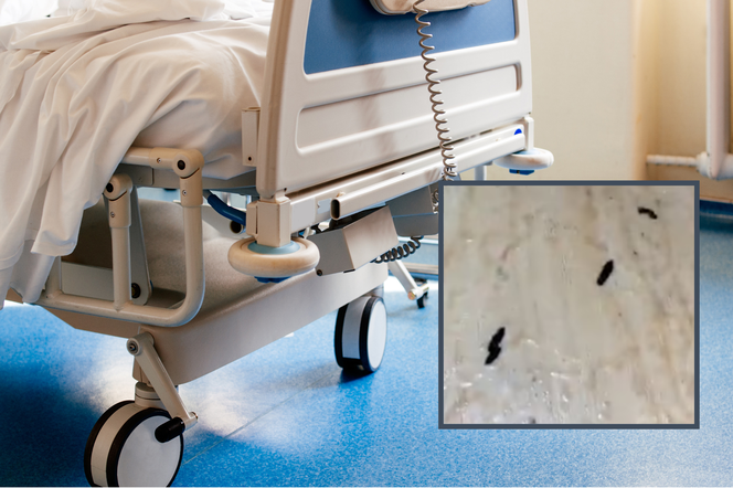 Obrazy grozy w jednym ze szpitali. Pacjentka pozostawiona we własnym kale, na podłodze odchody gryzoni