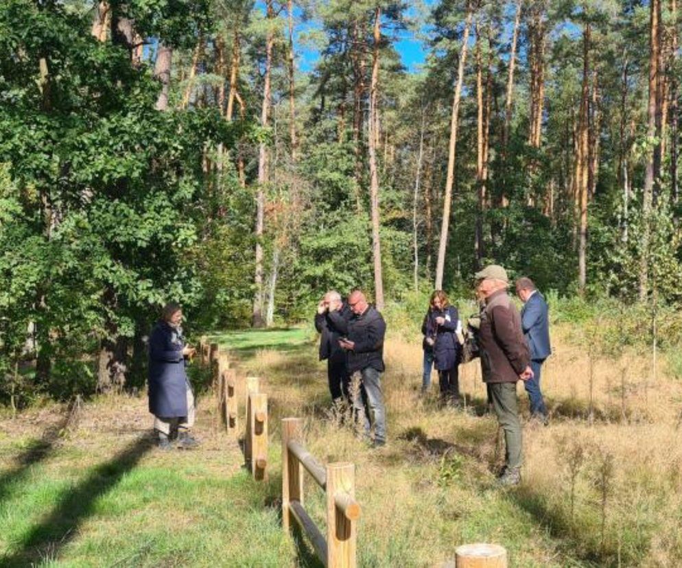 Nowe miejsce pamięci. Tam odkryto prochy więźniów obozu KL Soldau