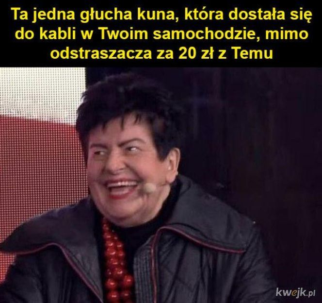 Joanna Senyszyn jak "imperatorka". Memy zalewają internet