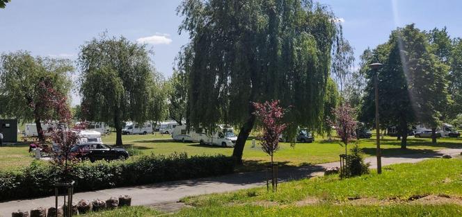 Camping  nr 117 STADION  (Wrocław)