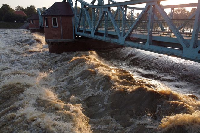 Powódź we Wrocławiu. Tak wygląda Odra w czwartek 19.09.2024 