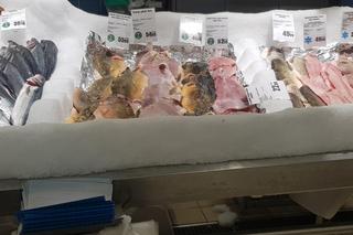 Ceny karpia w Białymstoku 2023. Ile zapłacimy za kilogram ryby w Podlaskiem?