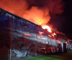 Ogromny pożar fermy drobiu w Fałkowicach. W ogniu mogło zginąć nawet 130 tysięcy kur