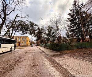 Groźne wichury na Warmii i Mazurach. Drzewo spadło na jadące auto, jedna osoba ranna