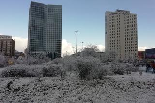 Zima w Warszawie