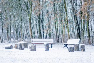 Mróz i opady śniegu w Toruniu. Najnowsza prognoza