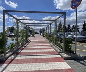 Tak wygladają ogrody deszczowe na parkingu przed terminalami Katowice Airport