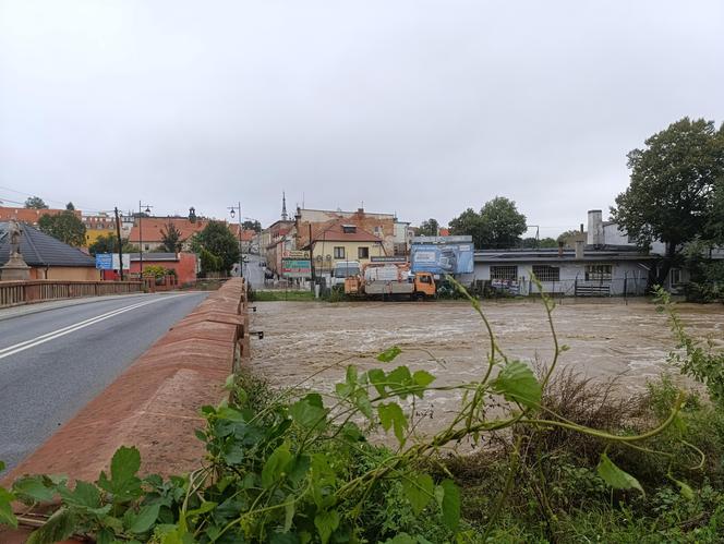 Ząbkowice Śląskie (woj. dolnośląskie)