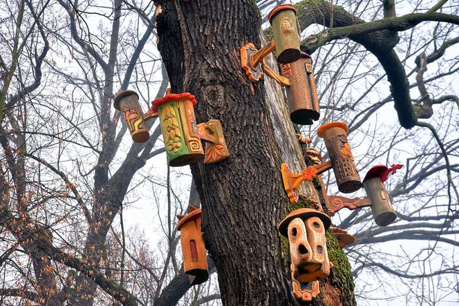 W Parku Kazimierza Wielkiego pojawiły się nowe domki dla owadów