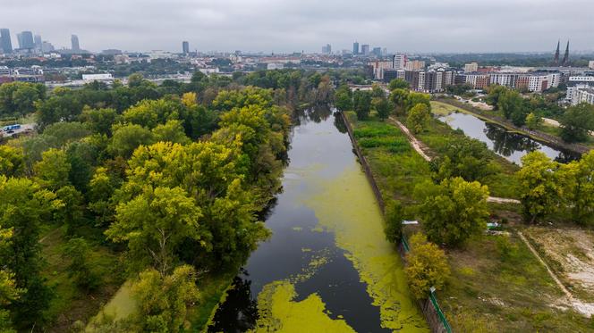 Port Praski - widok z drona, wrzesień 2024