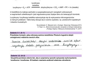 Matura 2024: biologia formuła 2023. Odpowiedzi i arkusz CKE do pobrania [NOWA FORMUŁA 14.05.2024]