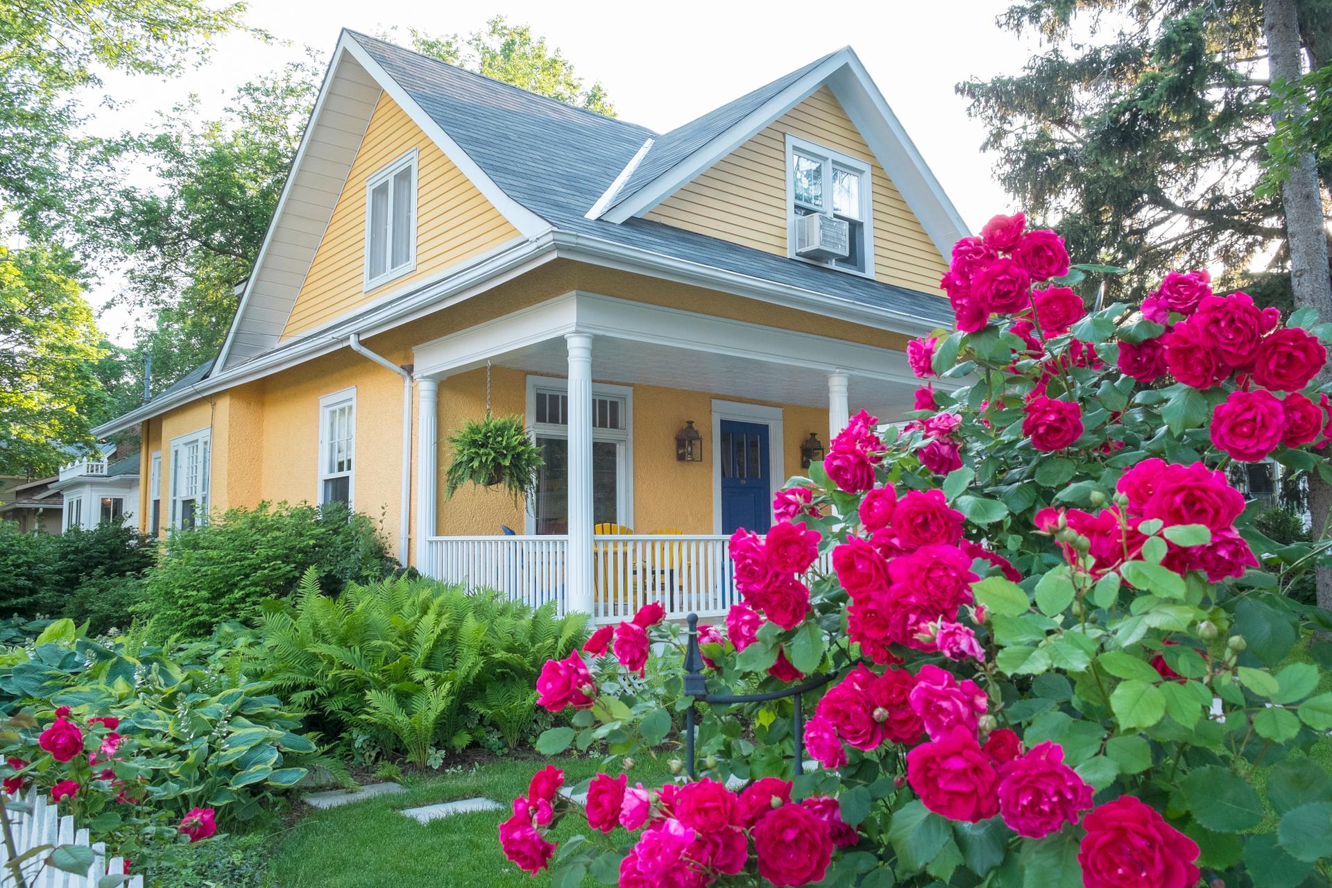 Красивые цветы возле дома. Клумба Бабушкин палисадник. Розарий в палисаднике. Красивый домик с садом. Цветы перед домом в деревне.