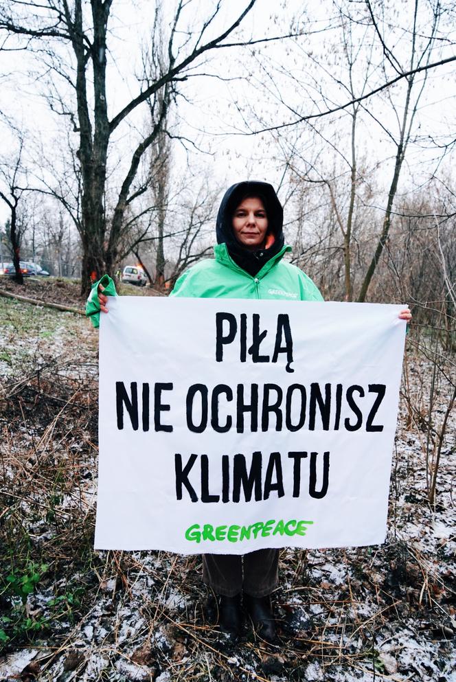 Aktywiści Greenpeace bronią drzew nad Wisłą