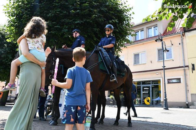 Wojewódzkie Obchody Święta Policji w Żorach 2024