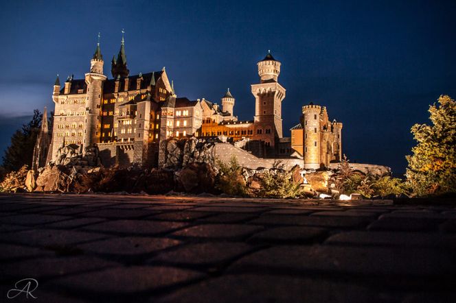 Szok w Neuschwanstein. Zamknęła psa w szafce