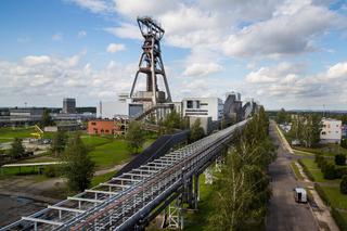 Węgiel z kopalni Budryk