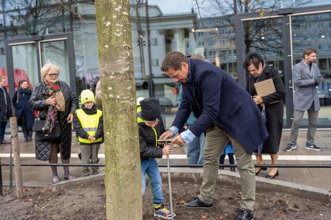 Plac Trzech Krzyży - drzewa mają swoich patronów 