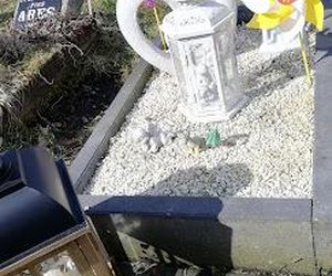 W całym woj. śląskim jest tylko jeden taki cmentarz. Miejsce, gdzie pamięć o pupilu nie umiera