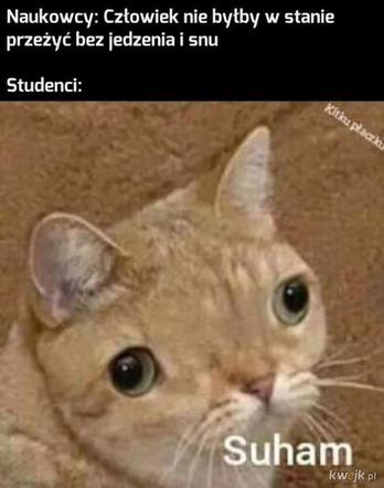 17 listopada. Dzień Studenta. Zobacz najśmieszniejsze MEMY!