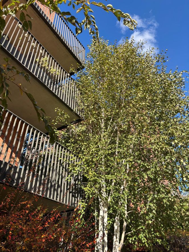 Osiedle Riverview w Gdańsku