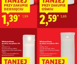 Tanie znicze w Lidlu