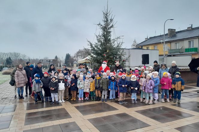 Na rynku w Mordach stanęła choinka