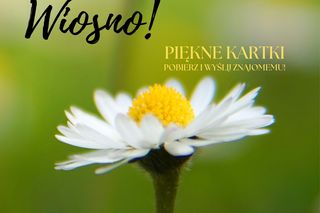 Witam w Pierwszy Dzień Wiosny - życzenia i wierszyki z okazji wiosny 2023