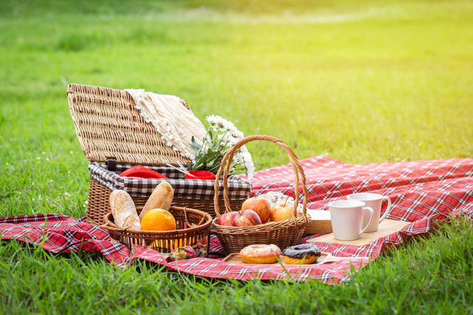 Menu na piknik: jakie jedzenie zabrać na piknik?