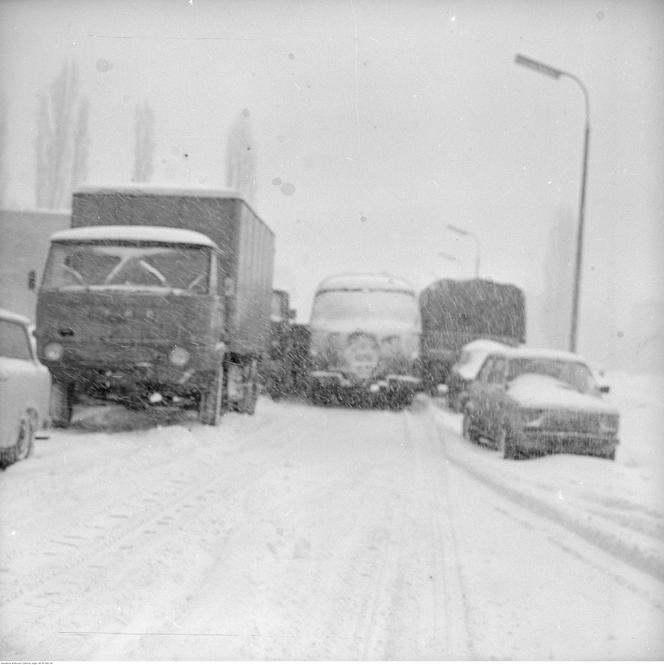 Zasypana jezdnia i samochody w zamieci śnieżnej