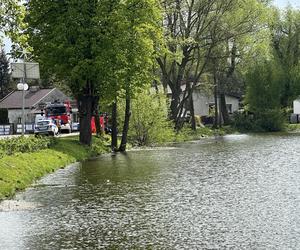 Ludzkie zwłoki w stawie pod Płońskiem. Strażacy wyłowili je z wody, na miejscu jest prokurator