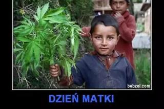 Najlepsze MEMY z okazji Dnia Matki 2024