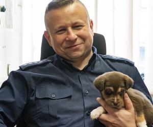 Maleńkie szczeniaczki były bliskie śmierci. Policjanci z Nowego Dworu Gdańskiego pokazali wielkie serca