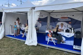 Wolin z rybą na talerzu - Skierniewice