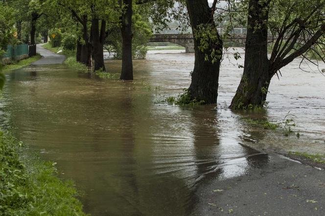 Powódź w Czechach zagraża mieszkańcom Marciszowa.