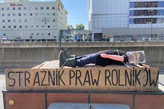 Rolnicy pod Urzędem Marszałkowskim w Łodzi. Zobacz, jak przebiega protest