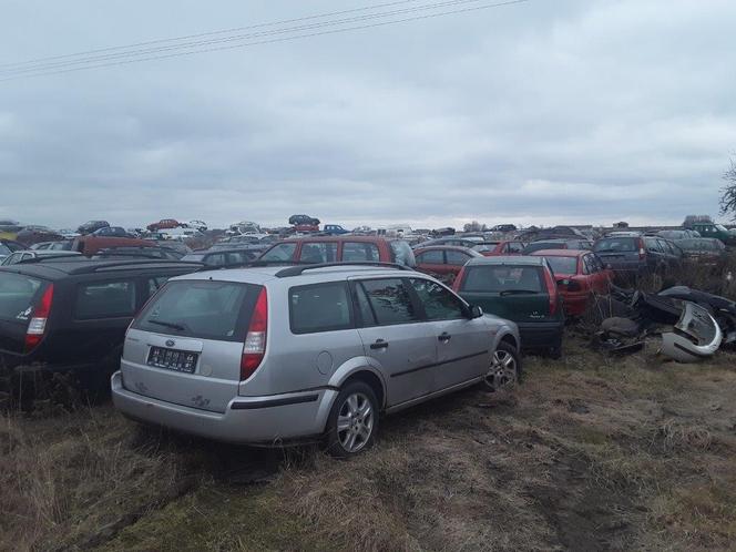 Na posesji pod Płońskiem miał 300 aut! Teraz ma na karku policję, KAS i WIOŚ [ZDJĘCIA]