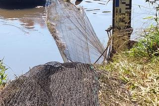 Strażacy rozciągnęli specjalną zaporę. Ma wyłapywać martwe ryby płynące z Czech