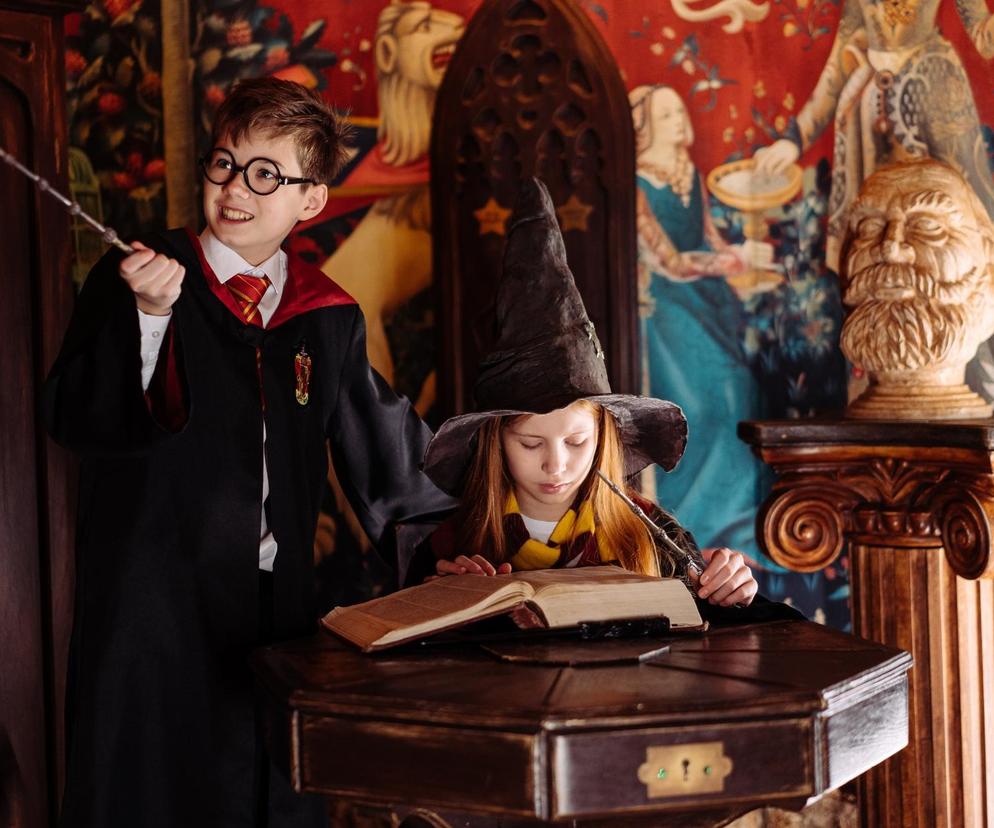 Harry Potter: Wizards of Baking. Nowy teleturniej rodem z Hogwartu! Uczestnicy będą piec! [WIDEO]