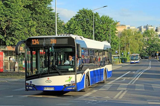 Kraków: linie sezonowe w weekend. Jak będą kursować? [ROZKŁAD JAZDY]