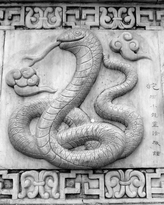 Horoskop chiński na rok 2024 – Wąż