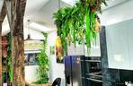Dom w stylu biophilic – kwietnik kuchenny