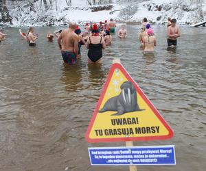 Warszawa morsuje! Gdzie i jak wchodzić do lodowatej wody? 