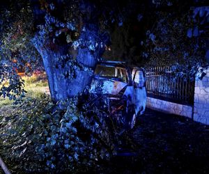 Śmiertelny wypadek pod Radomskiem. 42-latek nie żyje. Jego bus spłonął [ZDJĘCIA].