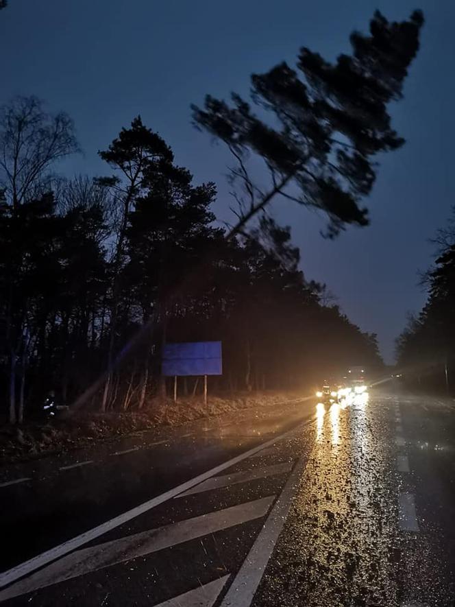 Drzewa na samochodach, zerwane dachy, brak prądu. Skutki wichury w Toruniu i okolicach